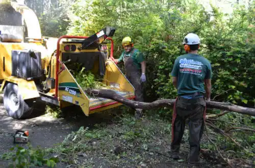 tree services Larned